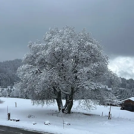 Clemence Chalet *